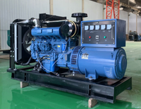 Générateur diesel Weifang CP Machinery de haute qualité et bon marché 20Kw 25 Kva