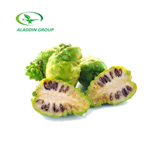 Haccp新製品食品グレード無料サンプルノニ酵素パウダーノニジュースパウダーノニフルーツエキス - Product Image 2