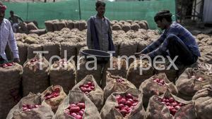 Indian Manufacturer Wholesaler of Burlap <b>Hessian</b> Jute <b>Sacks</b> for Packaging of Onion Potatoes Vegetables Fruits Etc - Product Image 5