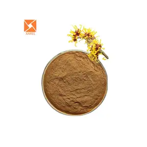 For Skincare powder Witch Hazel Extract Hamamelis Virginiana Extract Hamamelis Extract