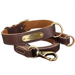 Collier gravé personnalisé amélioré Collier de chien en cuir véritable marron doux rouge vert noir avec plaque de nom, laisse assortie - Product Image 1