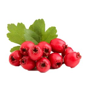 ホーソーンベリーエキス粉末ハイテクシン2% ホーソーンベリーエキス - Product Image 3