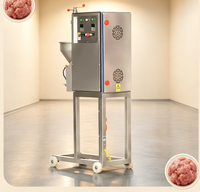 Petite machine à boulettes verticale, haute productivité, en acier inoxydable