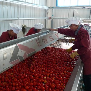 Machine industrielle de fabrication de purée de tomates pour la production en vrac, ligne d'emballage en fûts en acier et en bocaux en plastique à vendre - Product Image 2