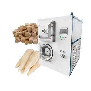 ORME endüstriyel et dondurularak kurutulmuş makine 20 Kg denizhıyarı donmalı kurutucu şeker dondurma kuru makine