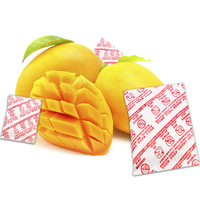 Directo de fábrica 1G 5g Bola púrpura Fruta Vegetal Conservante Etileno Bolsa absorbente KnMO4 Al2O3 Agente Químico Auxiliar