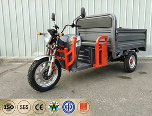 Motocicleta Eléctrica de Carga de 1000W, Triciclo de 3 Ruedas, Vehículo Eléctrico de <span class=keywords><strong>Transporte</strong></span>, Homologación Europea EEC, para Uso Diario en el Hogar y para Personas Mayores - Product Image 6