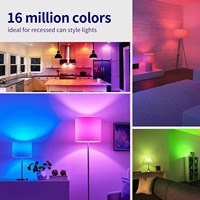 Lampe LED intelligente à intensité variable avec Wi-Fi, base en plastique E26/E27/B22, alimentation CA, revêtement mural en tissu noir, télécommande