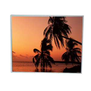 Écran LCD LM195WD1-TLA1 19,5 pouces 1440*900, écran LCD économique - Product Image 1