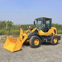 Nouvelle Chargeuse sur Pneus Mini Chinoise 2026 de 1,5 Tonne et 1 Tonne, Modèle TL920, Chargeuse Frontale Diesel 4x4 pour Ferme avec Accessoires Optionnels