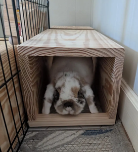 เตียงอุโมงค์ไม้แบบโมเดิร์น ODM/OEM สำหรับกระต่าย เพื่อความสบายและการเล่น - Product Image 1