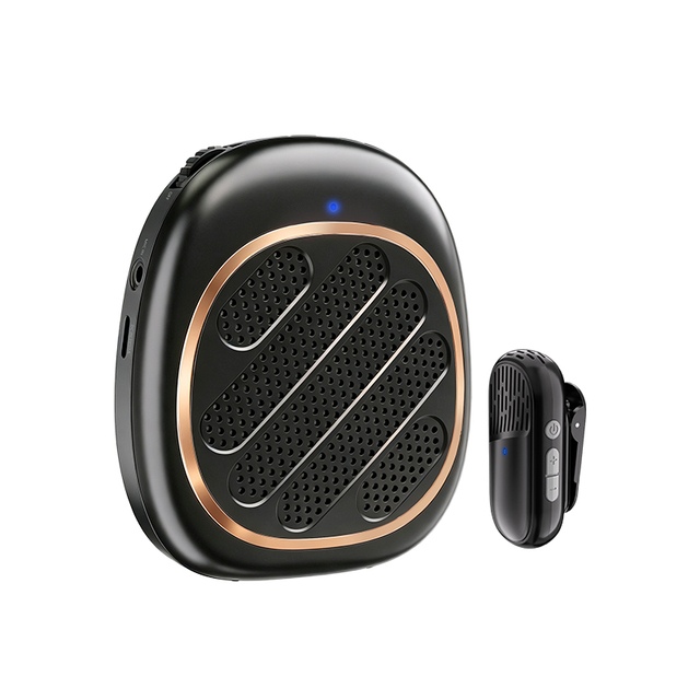 Mini Lightweight 2.4G Wireless Lavalier Voice Amplifier 10H Long Battery  PA Speaker System for Teaching Tour Guide