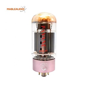 <span class=keywords><strong>Amplificador</strong></span> de Guitarra Profesional <span class=keywords><strong>para</strong></span> el Hogar PSVANE 6550-PT con Válvulas de Otros Canales, Hecho en China - Product Image 1