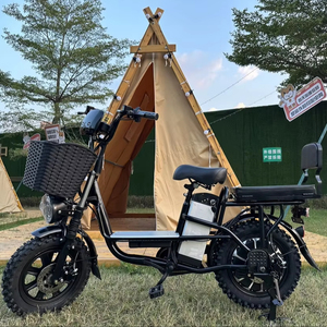 Bicicleta Eléctrica Monster MINAKO 800W 60V 21Ah con Batería de Litio, Ciclomotor Eléctrico para Servicio de Entrega de Carga con Estantes Plegables - Product Image 1