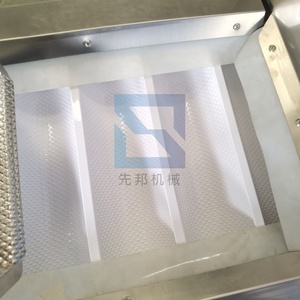 304 RVS Z-type emmerlift voor korrels, voedsel en rijst, emmerlifttransportband - Product Image 5