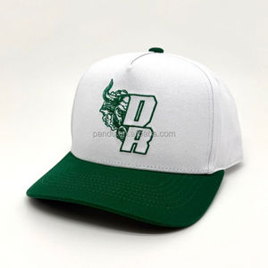 Gorra de Béisbol Personalizada <span class=keywords><strong>DR</strong></span> Bull Head Verde de Dos Tonos, 5 Paneles, Bordada, Casual, para Exteriores, Ajustable, Talla Universal 55-61cm - Product Image 1