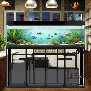 ตู้ปลาสี่เหลี่ยมกระจกใส ขนาด 620 ลิตร พร้อมระบบกรอง 220 โวลต์ ดีไซน์หรูหรา เป็นมิตรกับสิ่งแวดล้อม เหมาะสำหรับตกแต่งห้องนั่งเล่นที่บ้าน - Product Image 5
