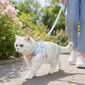Harnais pour chat anti-traction en velours réfléchissant, anti-évasion, réglable, doux, avec laisse de 1,5 m et accessoires en alliage de zinc pour petits chats - Product Image 4