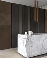 PAIA Marbre Blanc Calacatta Naturel de Luxe Exclusif, Élégant, Imperméable, Moderne, Poli, Grandes Dalles pour Îlot de Cuisine Intérieur de Villa, Garantie 1 An