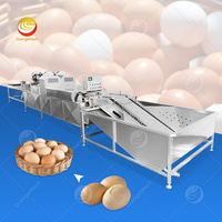 Ligne de production automatique de lavage, séchage, désinfection, pesage, triage et emballage des œufs - Équipement de traitement des œufs pour élevages avicoles