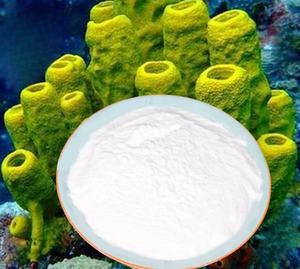 Cosmetici materia prima 99% spugna idrolizzata Micro ago spugna Spicule polvere - Product Image 3