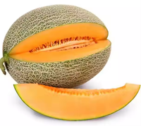 Nuoyuan offre un échantillon gratuit de haute qualité cantaloup (melon Hami) poudre de fruit extrait de cucumis melo