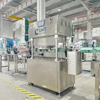 Machine de remplissage LWT à prix d'usine pour liquides et pâtes à haute viscosité (mayonnaise, ketchup, sauces, boissons, shampoings) en acier inoxydable 304 de haute qualité