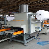 Saifan Fengkai SF1000PPS Machines à bois Machine de fabrication de peinture sur palettes en bois avec réservoir de collecte de peinture à l'eau propre