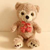 Ensemble de peluches romantiques pour couples avec accessoires en forme de cœur pour les cadeaux de la Saint-Valentin, les cadeaux d'anniversaire de mariage