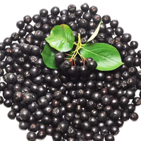 Zwarte Chokeberry (Aronia Melanocarpa) Kruidenextract Anthocyanen 10% 15% HPLC Poeder Natuurlijke Antioxidant Voedingskwaliteit 1kg
