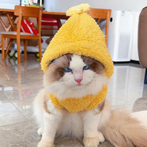 เสื้อฮู้ดสัตว์เลี้ยงน่ารักลายดาว เสื้อกั๊กขนแกะอุ่นสำหรับฤดูหนาว เสื้อคลุมหนานุ่มสำหรับลูกสุนัขพันธุ์บิชองและแมวตัวเล็ก - Product Image 5