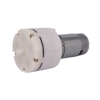 Petite pompe à Air électrique DC 6V 12V 24V haute tension automatique à petit diaphragme électrique pour masseur
