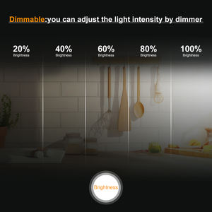 Lampu Strip LED COB ESANN 12V 480LED/<span class=keywords><strong>m</strong></span> 6000K Putih Dingin Wi-Fi Dimmable CRI 90 IP20 untuk Penerangan Cermin & Taman - Product Image 6