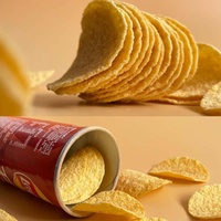 Chips de pommes de terre en conserve et assortiment de snacks disponibles en gros avec faible MOQ pour une approvisionnement efficace