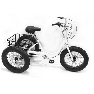2023 nouveau pas cher e-Trikes 3 roues Cargo Tricycles électriques <span class=keywords><strong>moto</strong></span> trois roues adulte - Product Image 1