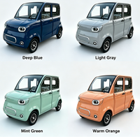Voiture électrique fermée à 4 places, à faible vitesse (45 km/h), avec toit solaire, personnalisable en couleur, directement de l'usine, pour adultes