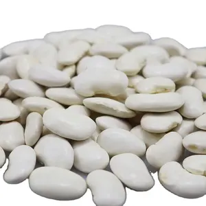 High-quality Factory Wholesale White Kidney Bean Canned Bag Kidney White Beans