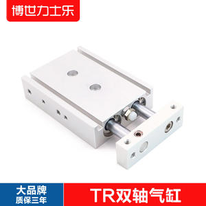 Cylindre à double arbre Airtac TR10/15 Neuf et d'occasion Industriel TR30-10-15-20-25-30-40-45-S Cylindre magnétique Alésage avec connexion filetée - Product Image 3