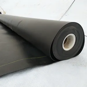 Geomembrane Tank Liner Waterproof HDPE Geomembrane for Pit Liner