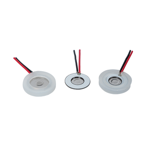 10mm PZT <strong>Microporous</strong> Atomizer Disc 160kHz Piezo Ceramic Mist Plate for Handheld Nebulizer - Product Image 4