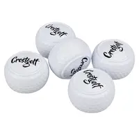 Original Hard Golf Balls for Beginners, Two Layer Ball