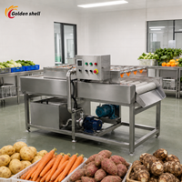 Industriële fruit- en groentewasmachine Automatische reinigingsmachine voor voedselverwerking