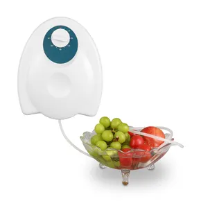 2024 nuevo diseño Venta caliente purificador de aire ozono purificador de frutas y verduras 220V limpiador de aire hogar Cocina