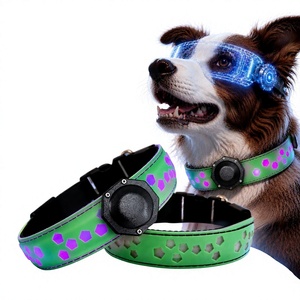 Collar para mascotas estilo princesa con iluminación LED de plástico, el más vendido transfronterizo, desmontable, con <span class=keywords><strong>grabado</strong></span> personalizable para <span class=keywords><strong>Airtag</strong></span> - Product Image 1