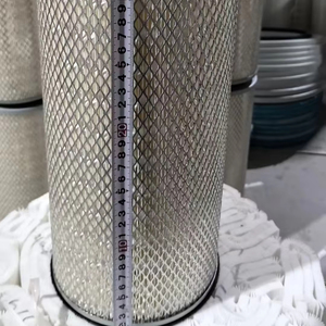 Toptan Fiyatlı Kamyon Motor Parçaları Hava Filtresi 2RD129620 A3740947004 AF25075 LX910 CA283A A-1955 P619859 C17308 FORD DAF için - Product Image 1