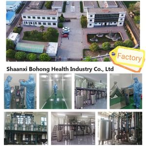 Экстракт порошка корня корейского красного женьшеня Panax Gold - Product Image 6