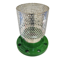Katup Kaki Besi Ductile DN150 PN16 GGG50 dengan Strainer Baja Tahan Karat, Struktur Akar, Sambungan Flens, Standar BS EN 593