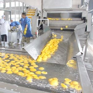 Fornitura diretta dalla fabbrica di albicocca di pesca <span class=keywords><strong>in</strong></span> scatola nell'impianto di lavorazione dello sciroppo - Product Image 5