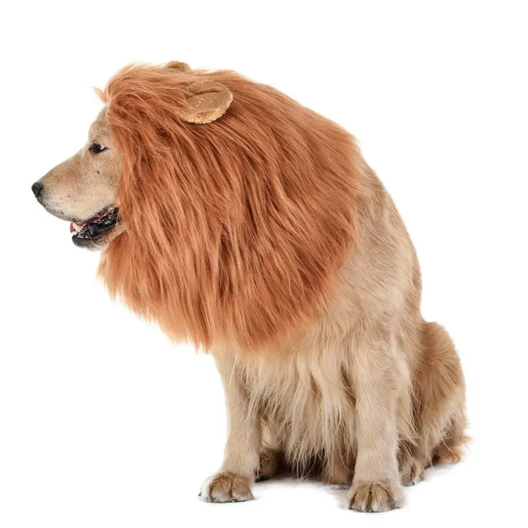 Kingtale Pet Supplies New Style Halloween Decoration Dog Wig Funny Lion Headgear Set Creative Pet Headgear