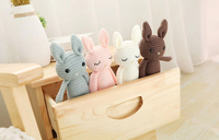 Jouets en crochet personnalisés en coton biologique pour bébé, lapin, 2021, jouets en crochet faits à la main, animaux en peluche kawaii